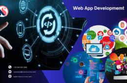 web app development